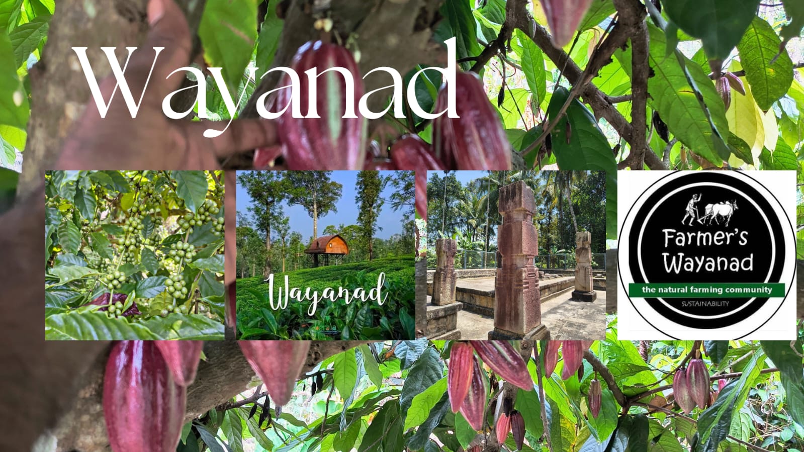 Eco-Village Community Tourism: New Possibilities in Wayanad !